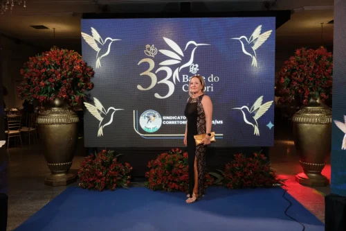 T3II1215-new